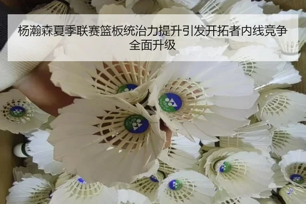 杨瀚森夏季联赛篮板统治力提升引发开拓者内线竞争全面升级 | Sports